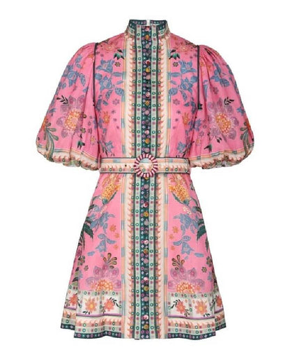 Ginger Buttoned Mini Dress